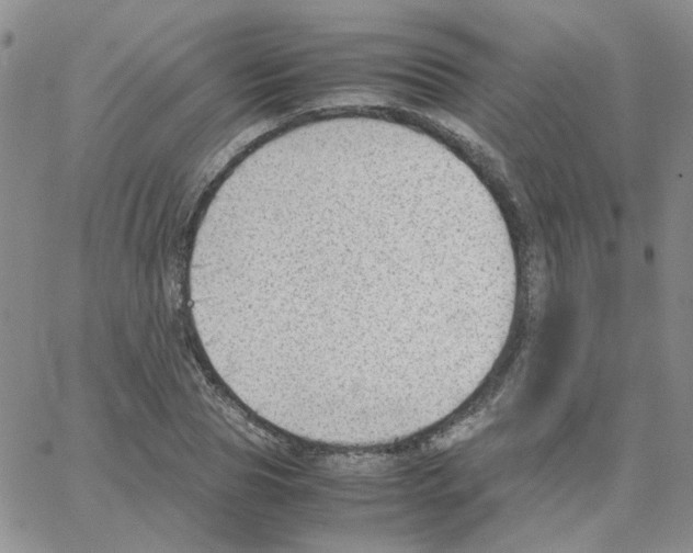 X0000064750929200603131340