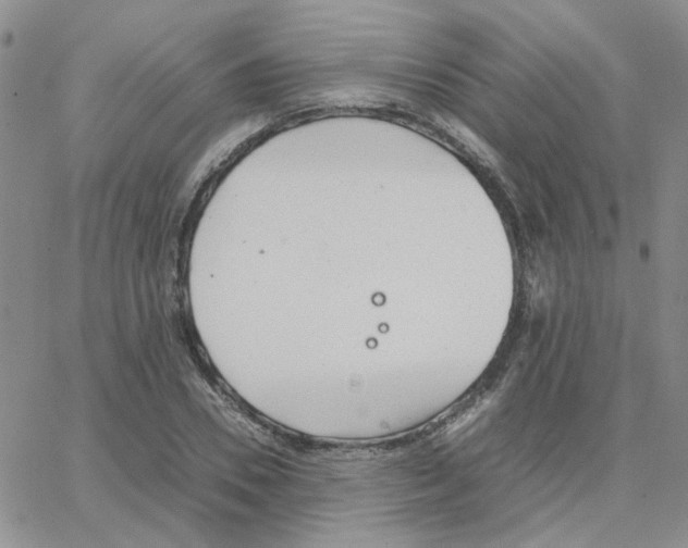 X0000064750930200603131340