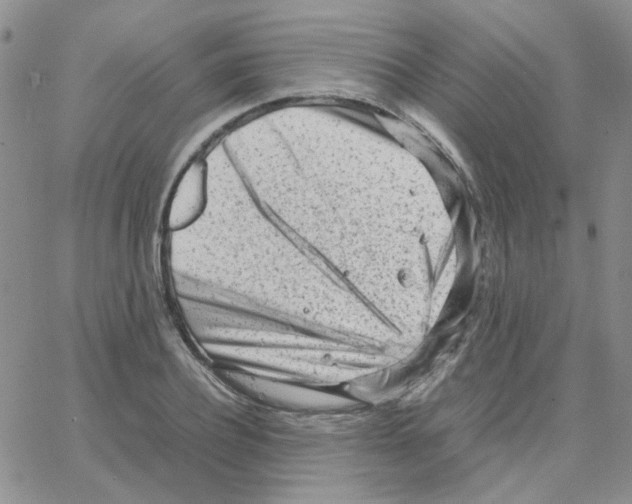 X0000064750932200603131340