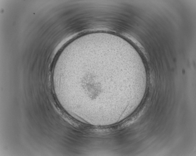 X0000064750933200603131340