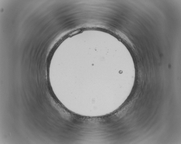 X0000064750934200603131340