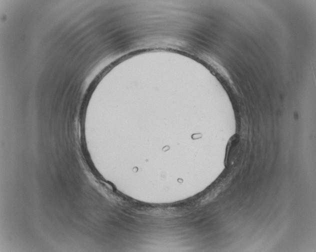 X0000064750936200603131340