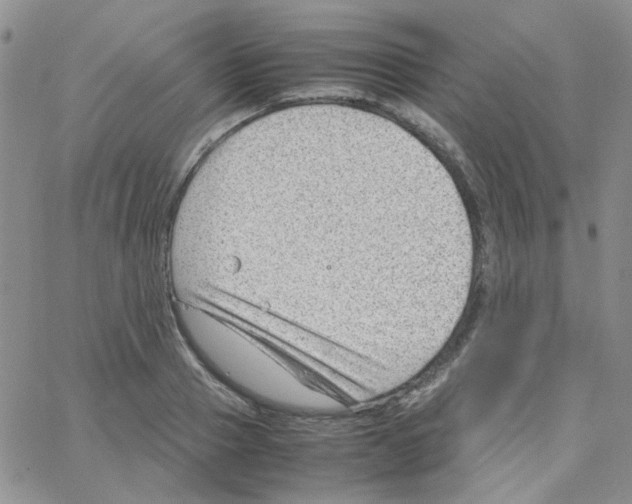 X0000064750937200603131340