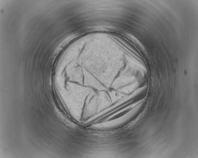 X0000064750938200603131340