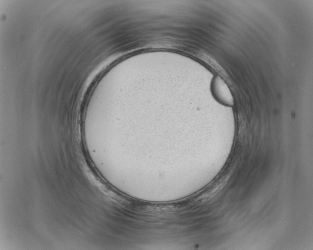 X0000064750939200603131340