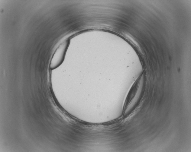 X0000064750940200603131340