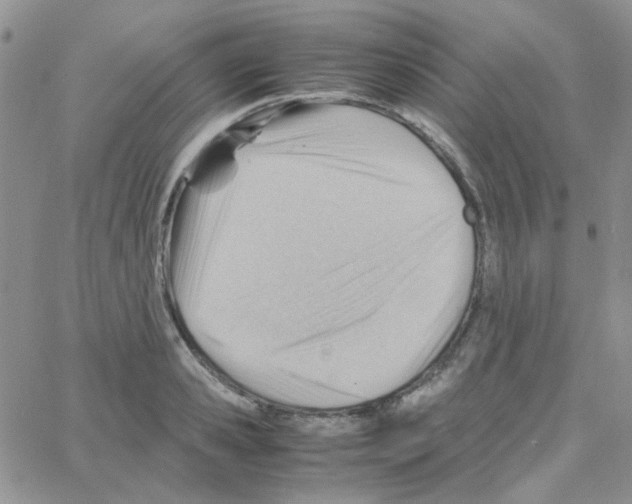 X0000064750941200603131340