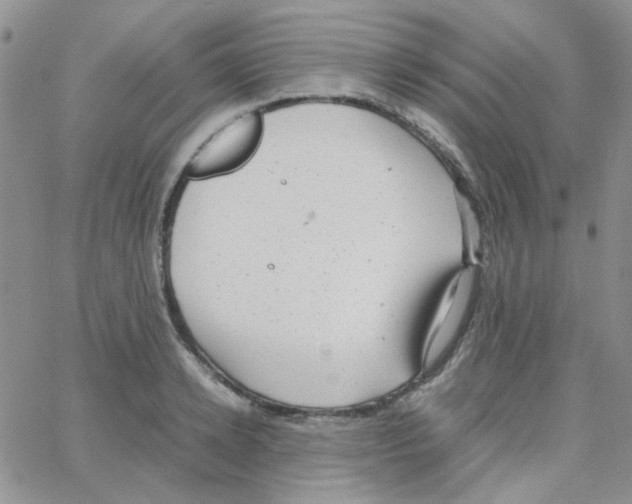 X0000064750942200603131340