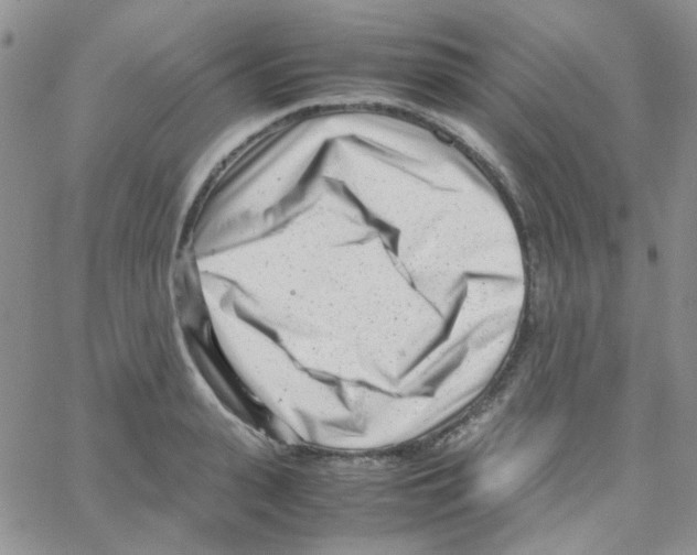 X0000064750943200603131340