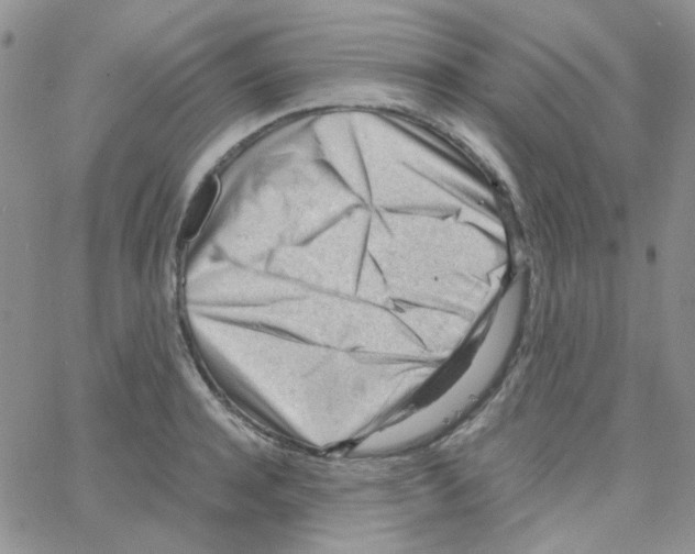 X0000064750944200603131340