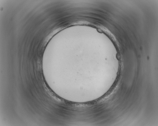 X0000064750945200603131340