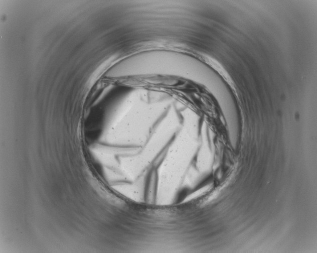 X0000064750946200603131340