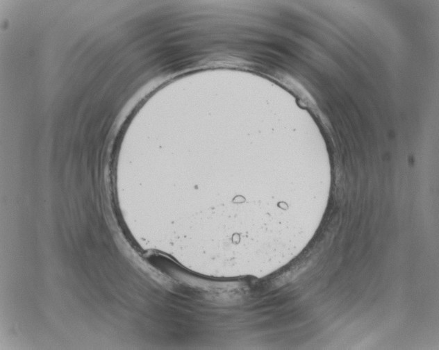 X0000064750947200603131340