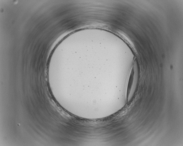 X0000064750948200603131340