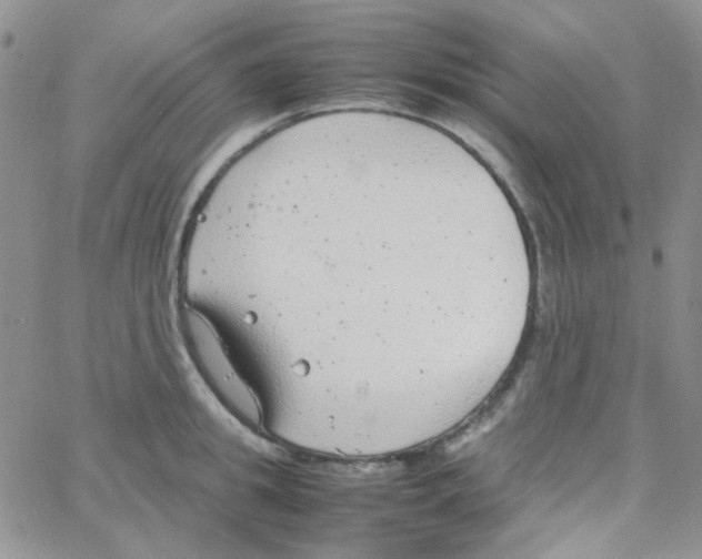 X0000064750949200603131340