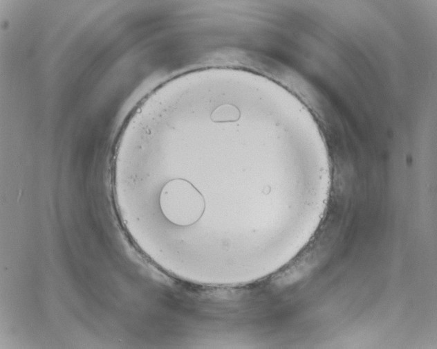 X0000064750950200603131340