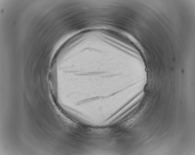 X0000064750951200603131340