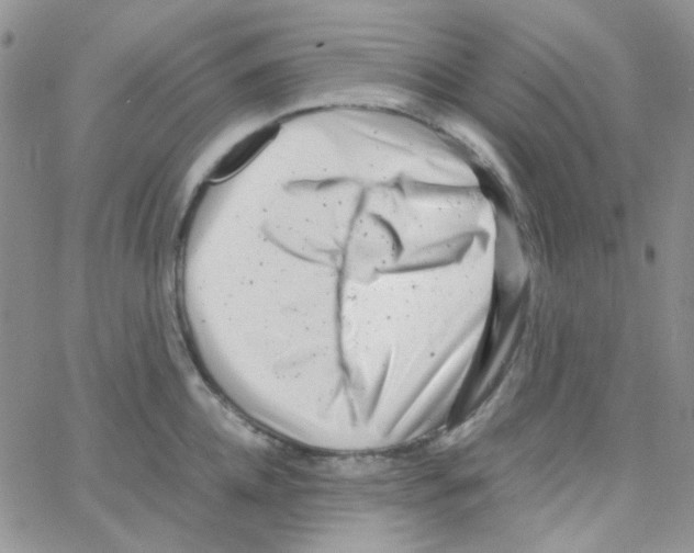 X0000064750952200603131340