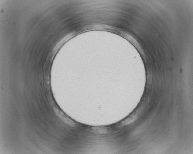 X0000064750954200603131340