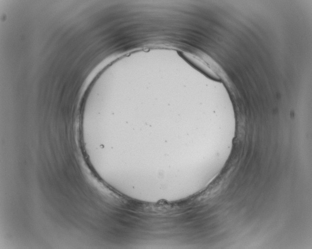 X0000064750955200603131340