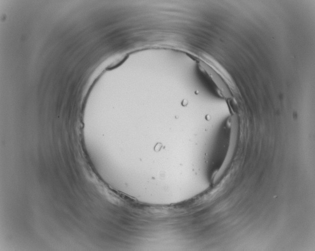 X0000064750956200603131340