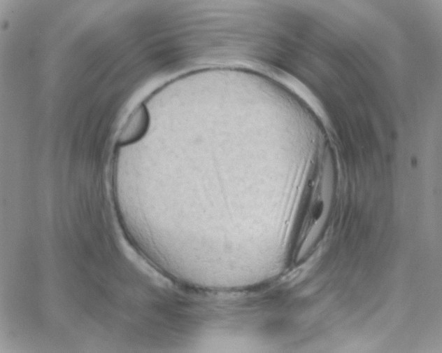 X0000064750958200603131340