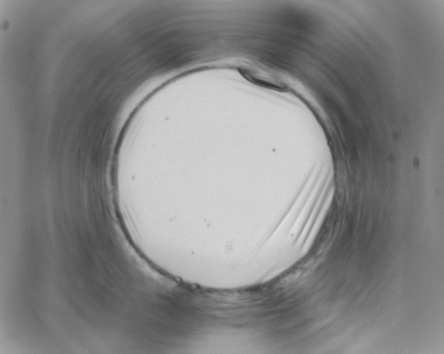 X0000064750959200603131340