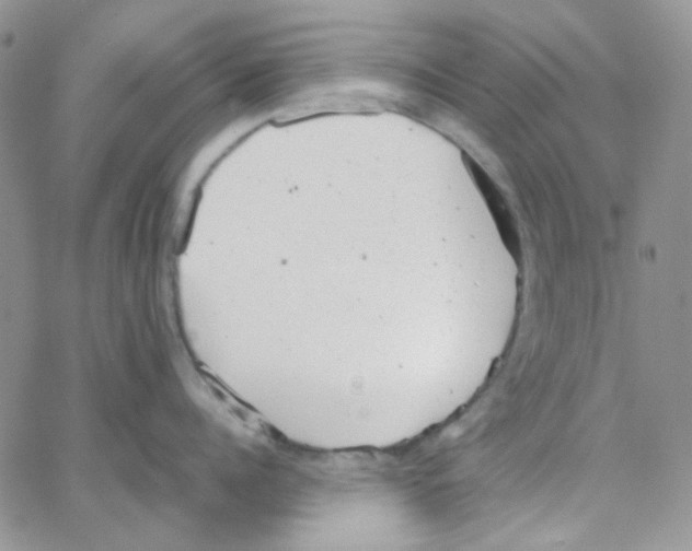 X0000064750960200603131340