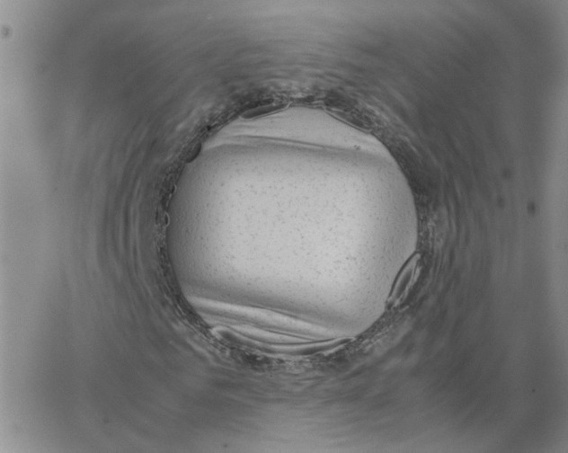 X0000064750961200603131339