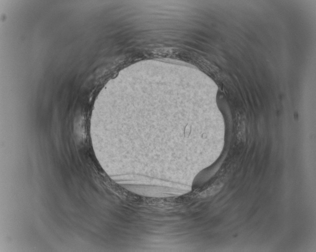 X0000064750962200603131339