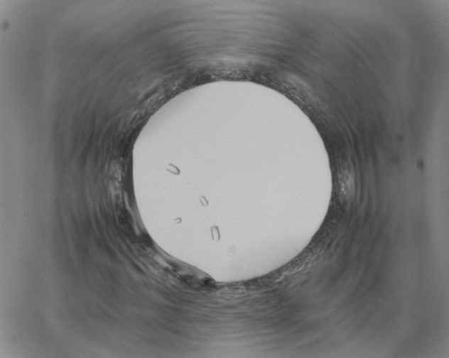 X0000064750964200603131339