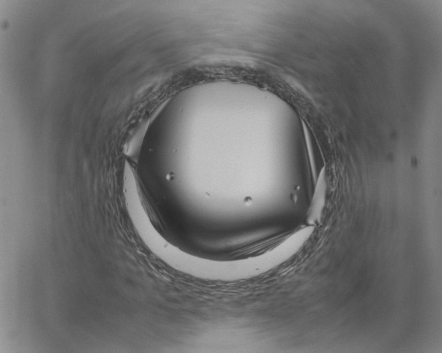 X0000064750965200603131339