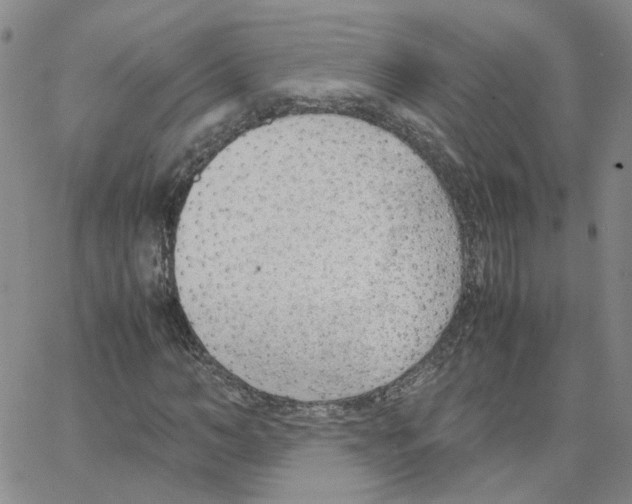 X0000064750966200603131339