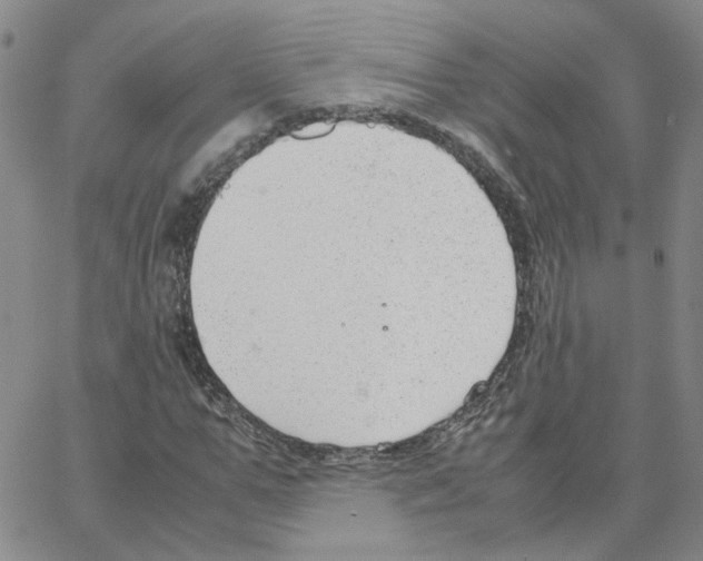 X0000064750967200603131339