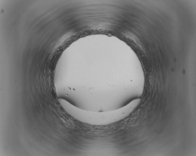 X0000064750968200603131339