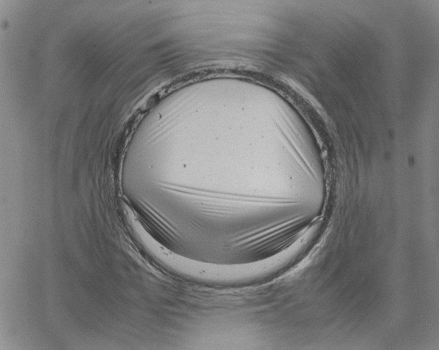 X0000064750969200603131339