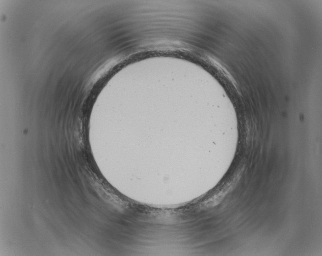 X0000064750970200603131339