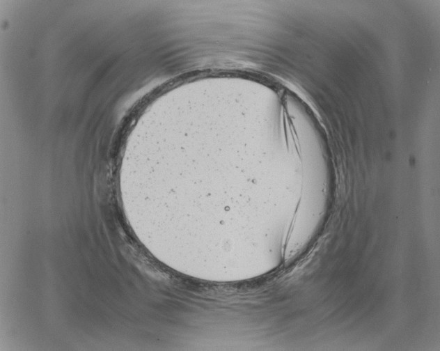 X0000064750971200603131339