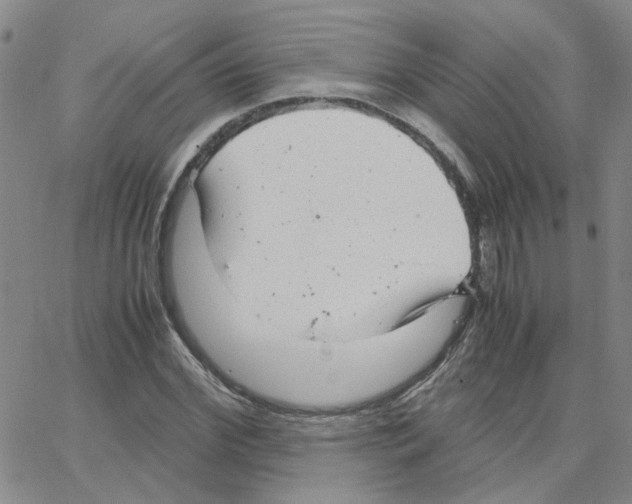 X0000064750972200603131339