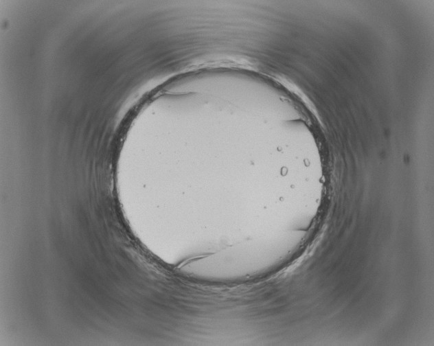 X0000064750973200603131339