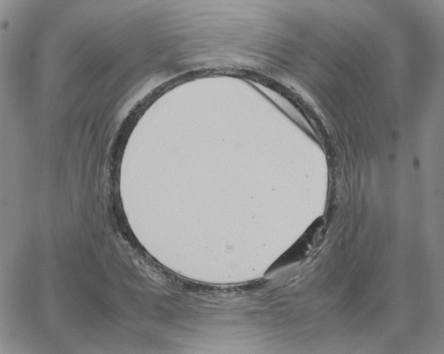 X0000064750975200603131339