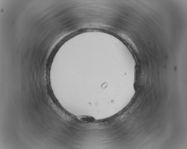 X0000064750976200603131339