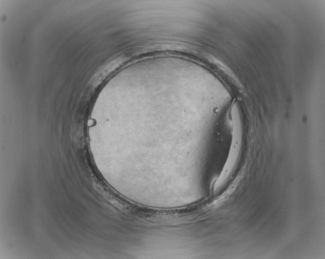 X0000064750977200603131339