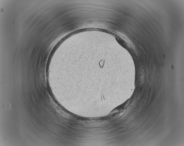 X0000064750980200603131339