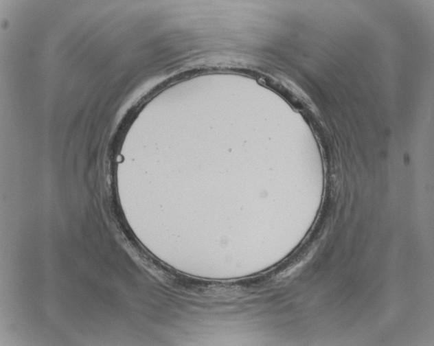 X0000064750981200603131339