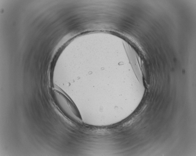 X0000064750982200603131339