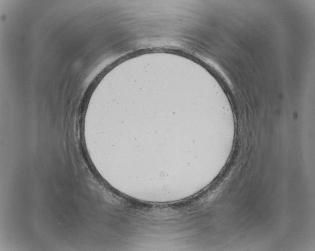 X0000064750983200603131339