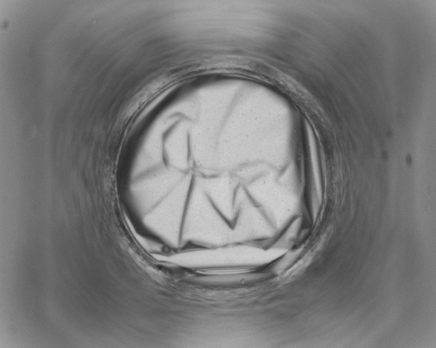 X0000064750985200603131339