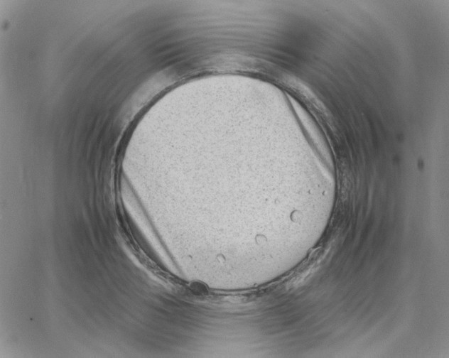 X0000064750986200603131339