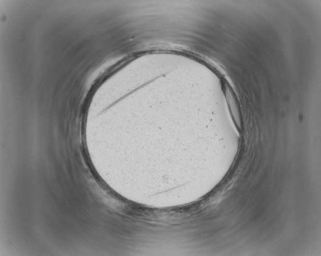 X0000064750987200603131339